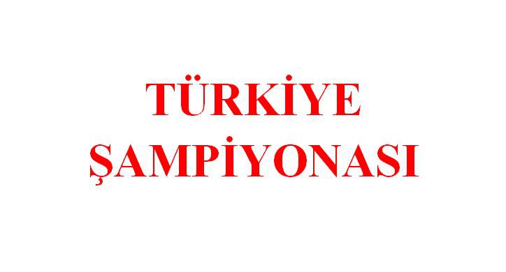 Türkiye Volo Şampiyonası 23 - 29 Mayıs tarihlerinde Ankara'da yapılacak